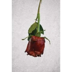 ARTIDEE | CREARTEC Immersion Rust - Set -Da Vinci Shop ARTIDEE7CCREARTECImmersionRust set 3