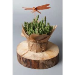 Creartec Dipping Metal -Da Vinci Shop CreartecDippingMetal 2