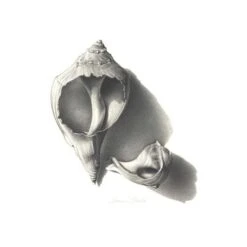 Derwent Graphic Pencil Sets -Da Vinci Shop DerwentGraphicPencilSets 3