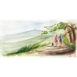 Faber-Castell Albrecht Dürer Watercolour Marker Gift Box -Da Vinci Shop Faber CastellAlbrechtDC3BCrerWatercolourMarkerGiftBox 2