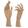 Jax Articulated Model Hands