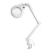 Native Lighting | Chameleon Magnifying Lamp - Table Light