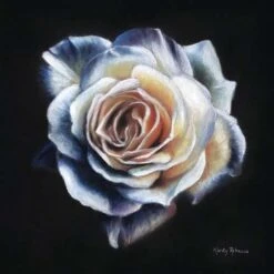 PanPastel Kirsty Rebecca Set 7 PanPastel Kirsty Rebecca Set -Da Vinci Shop PanPastelKirstyRebeccaSet 3