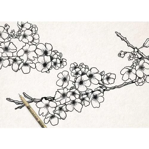 Sakura Pigma Micron 9 Colour Set 5 Sakura Pigma Micron 9 Colour Set - Image 5